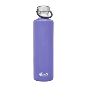  1L Classic Insulated Bottle