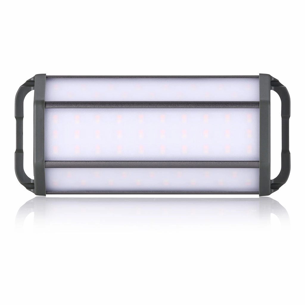 3FACE NEO 10