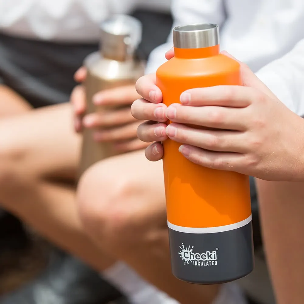  600ml Classic Insulated Bottle