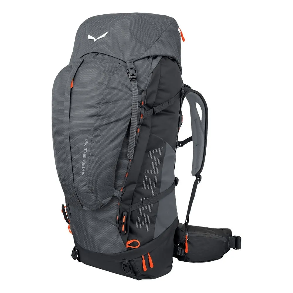  Alptrek 65  10 Pro