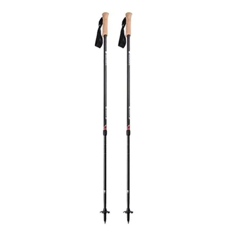 Andesite Trekking Poles