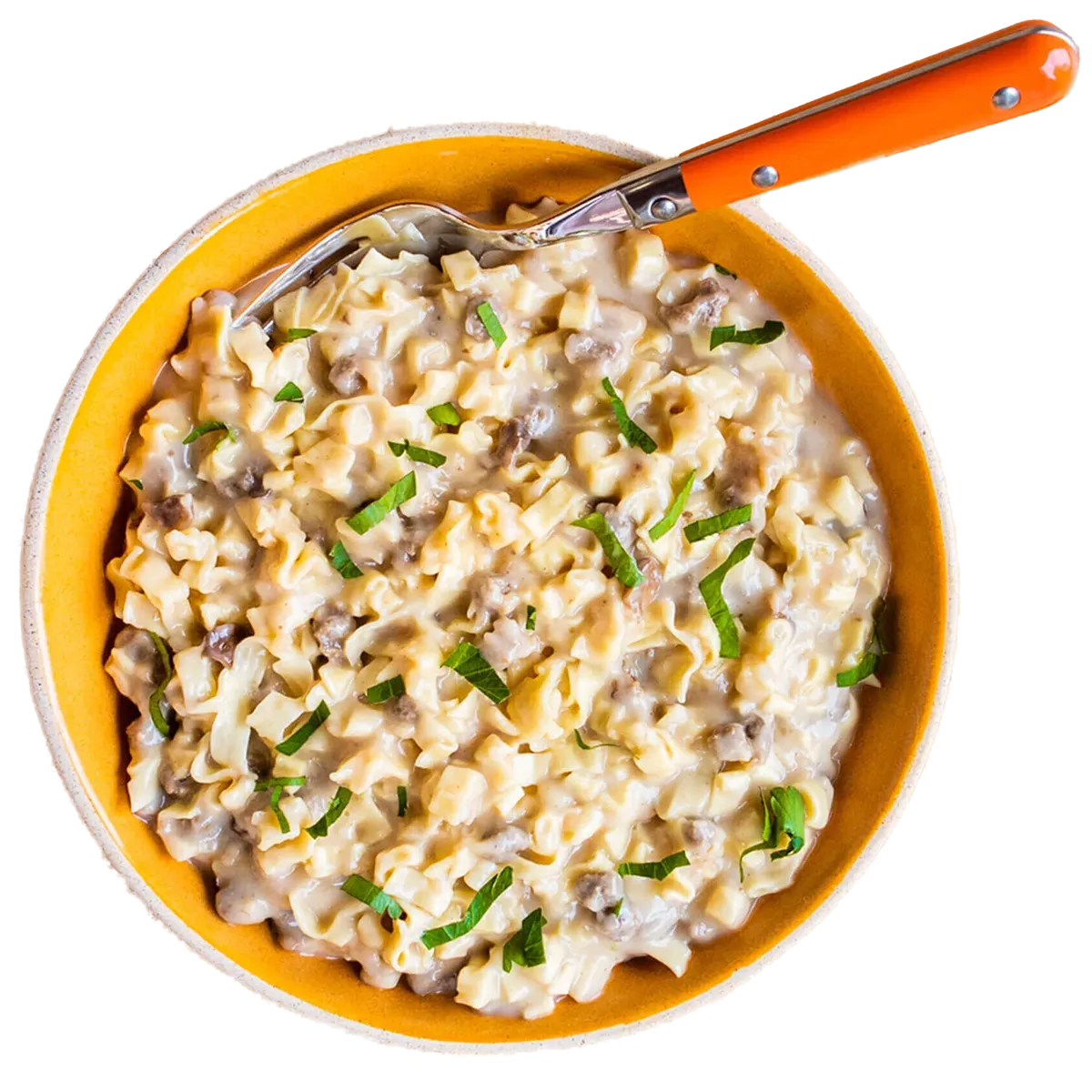 Beef Stroganoff with Noodles