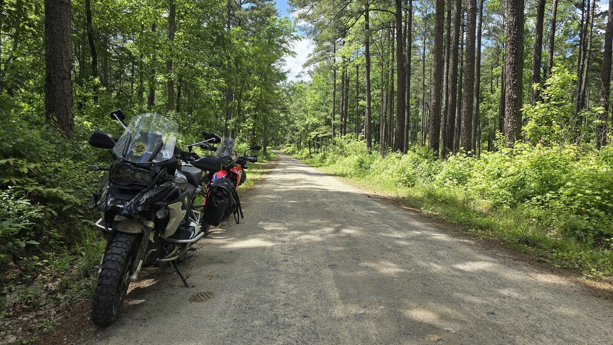 Chilly Willy Weekend Rally Uwharrie National Forest
