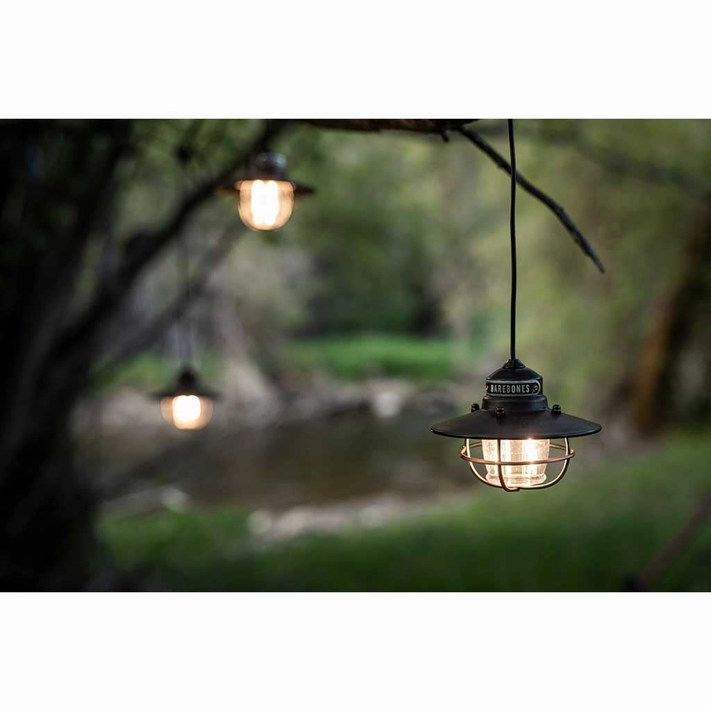 Edison String Lights