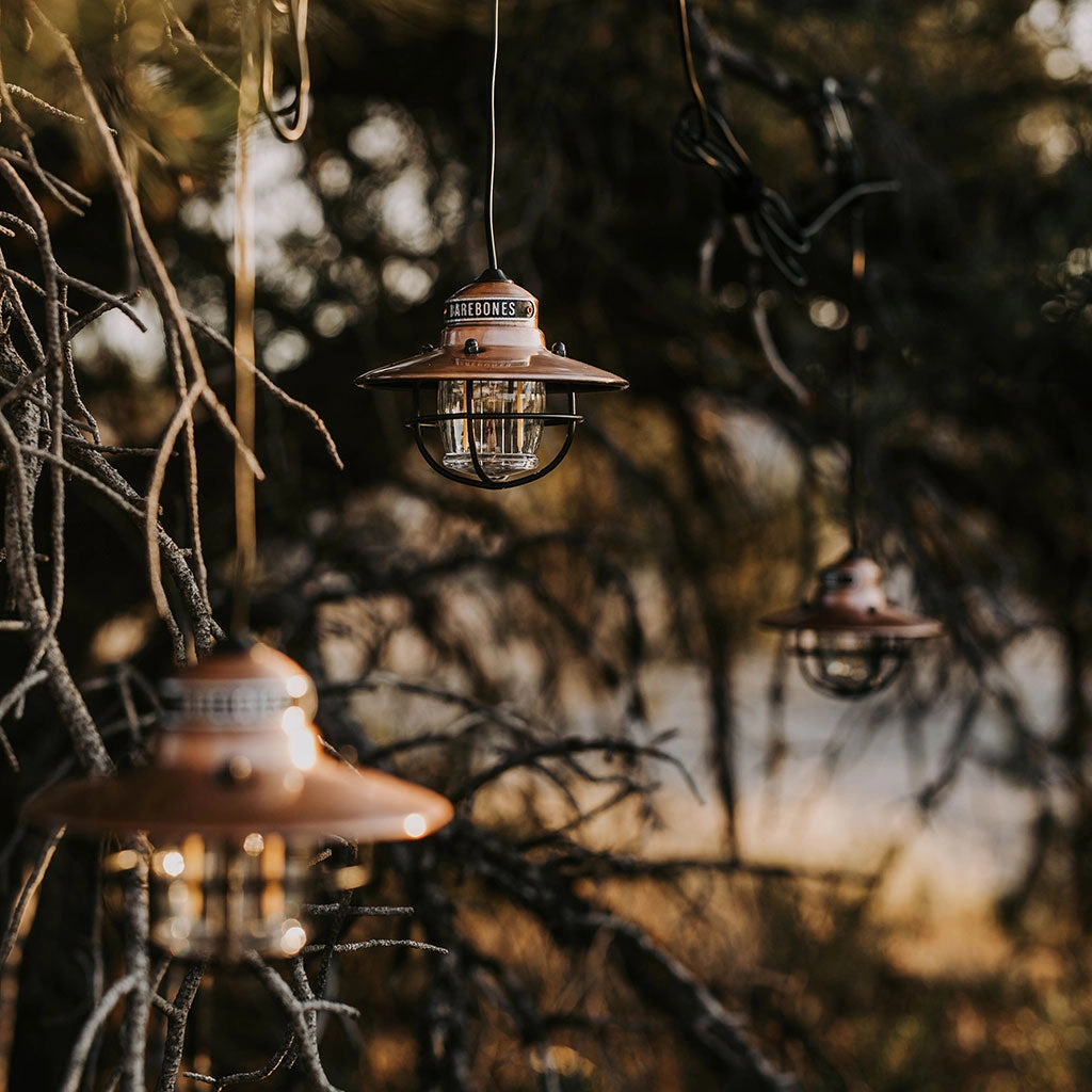 Edison String Lights