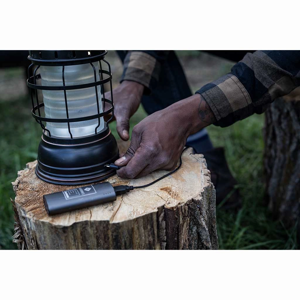 Forest Lantern