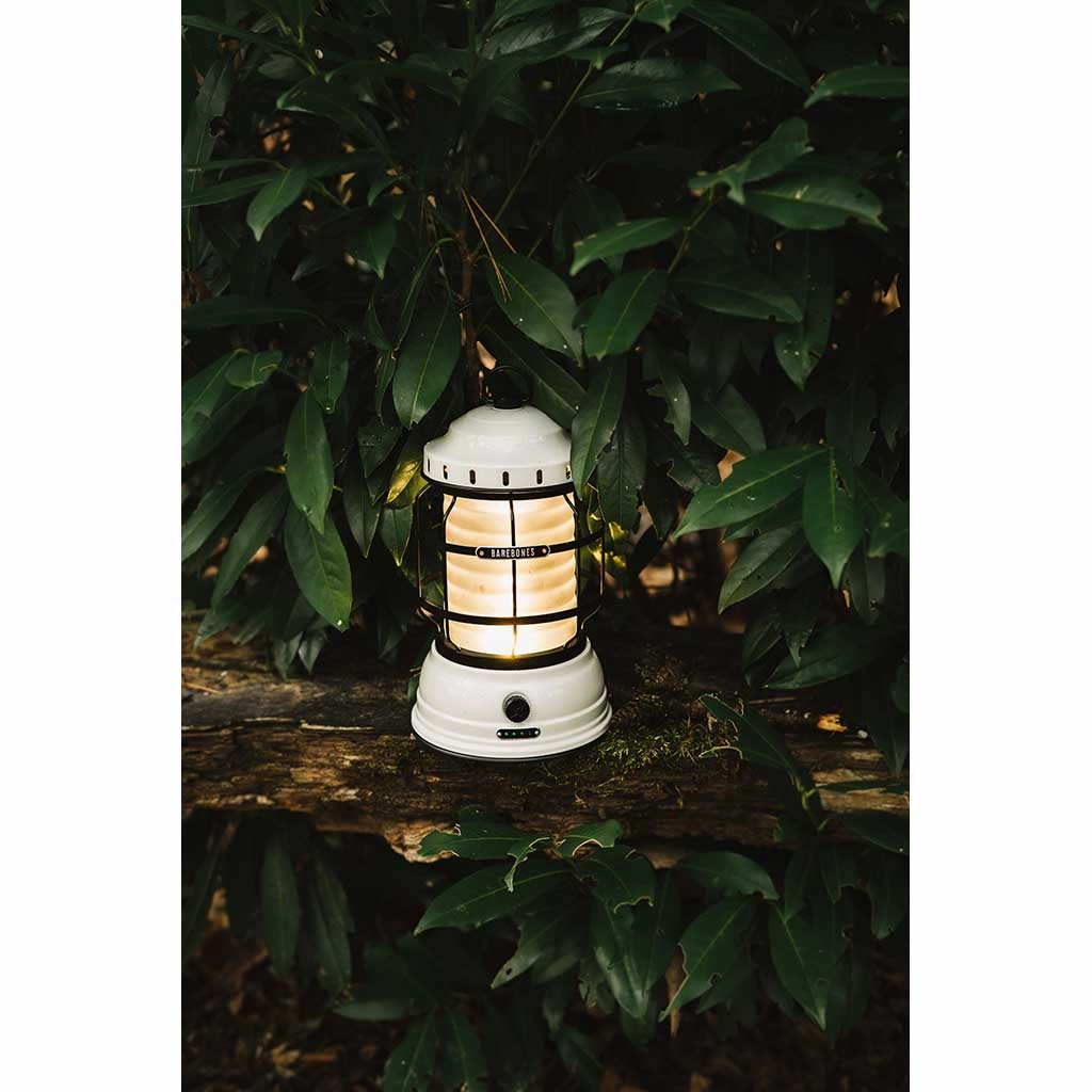 Forest Lantern