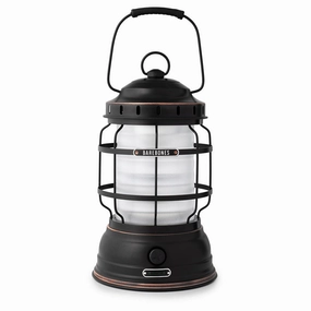 Forest Lantern