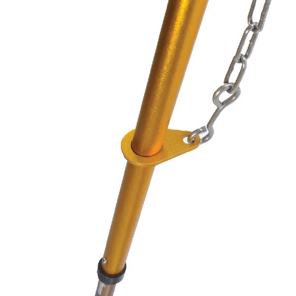  Golden Tripot 125 Gold