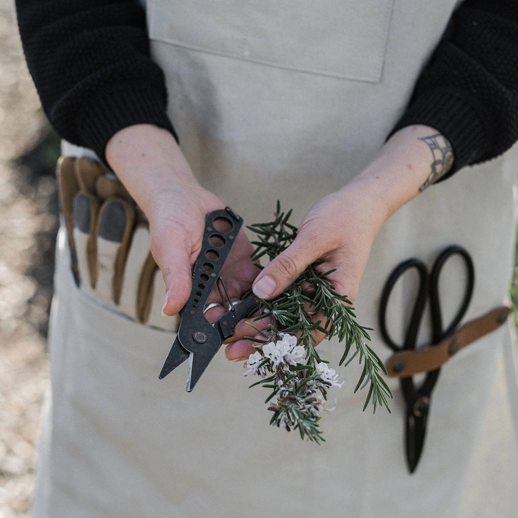 Herb Harvest and Strip Tool