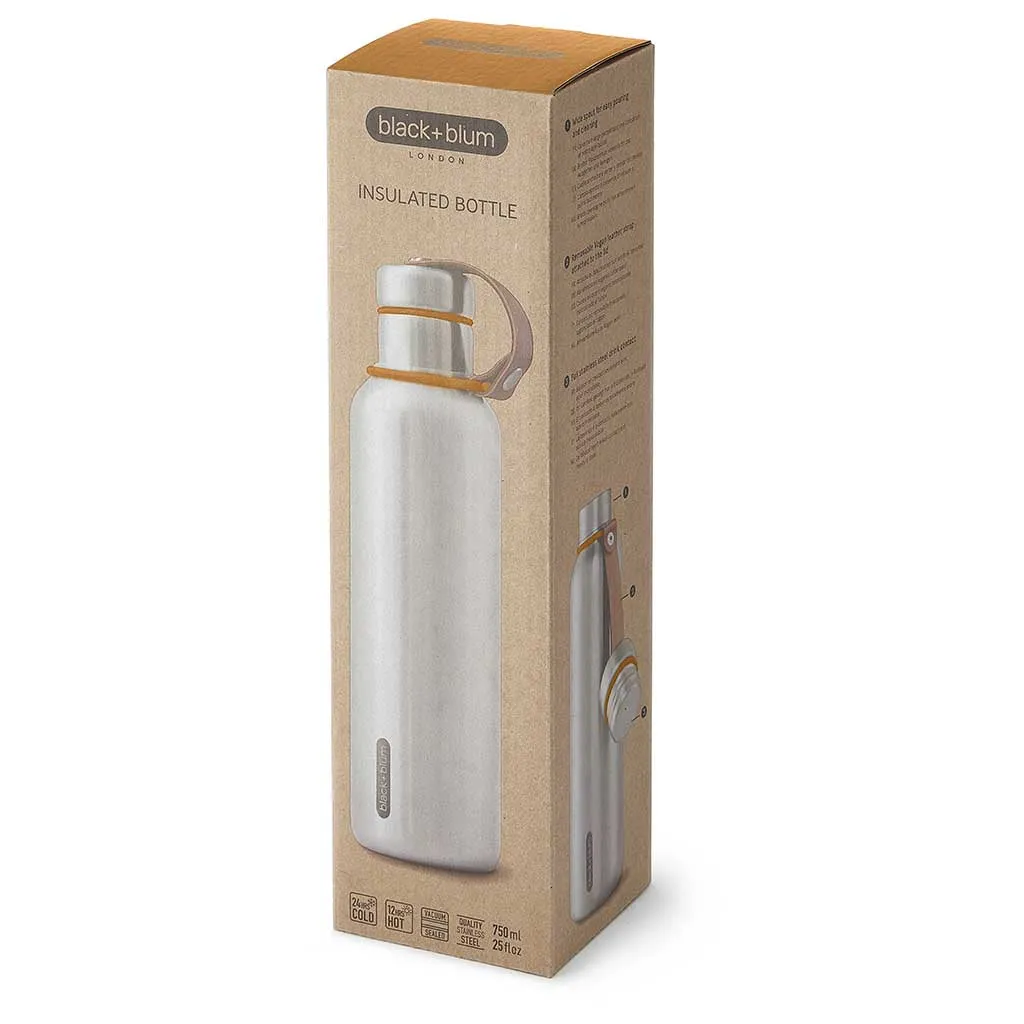 Insulated Water Bottle