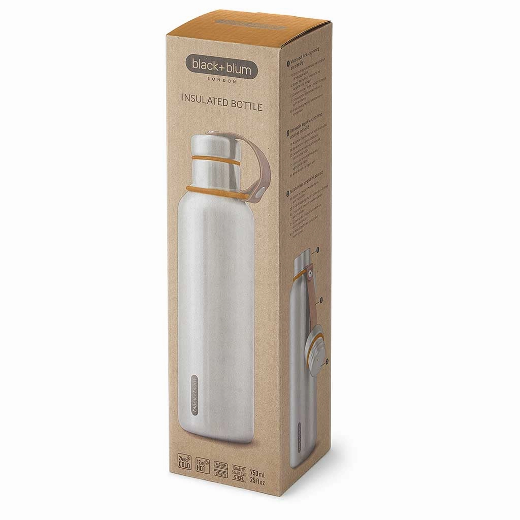 Insulated Water Bottle