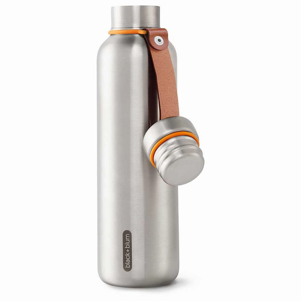 Insulated Water Bottle