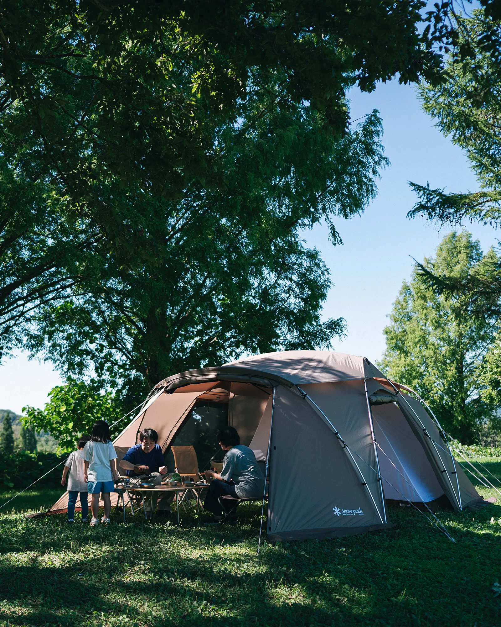 Land Nest Shelter