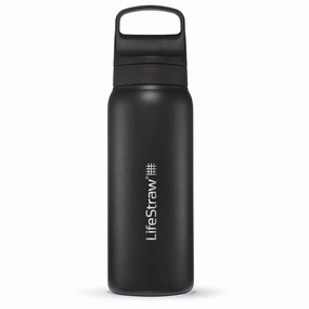 Lifestraw Go 700ml | Stainless Steel