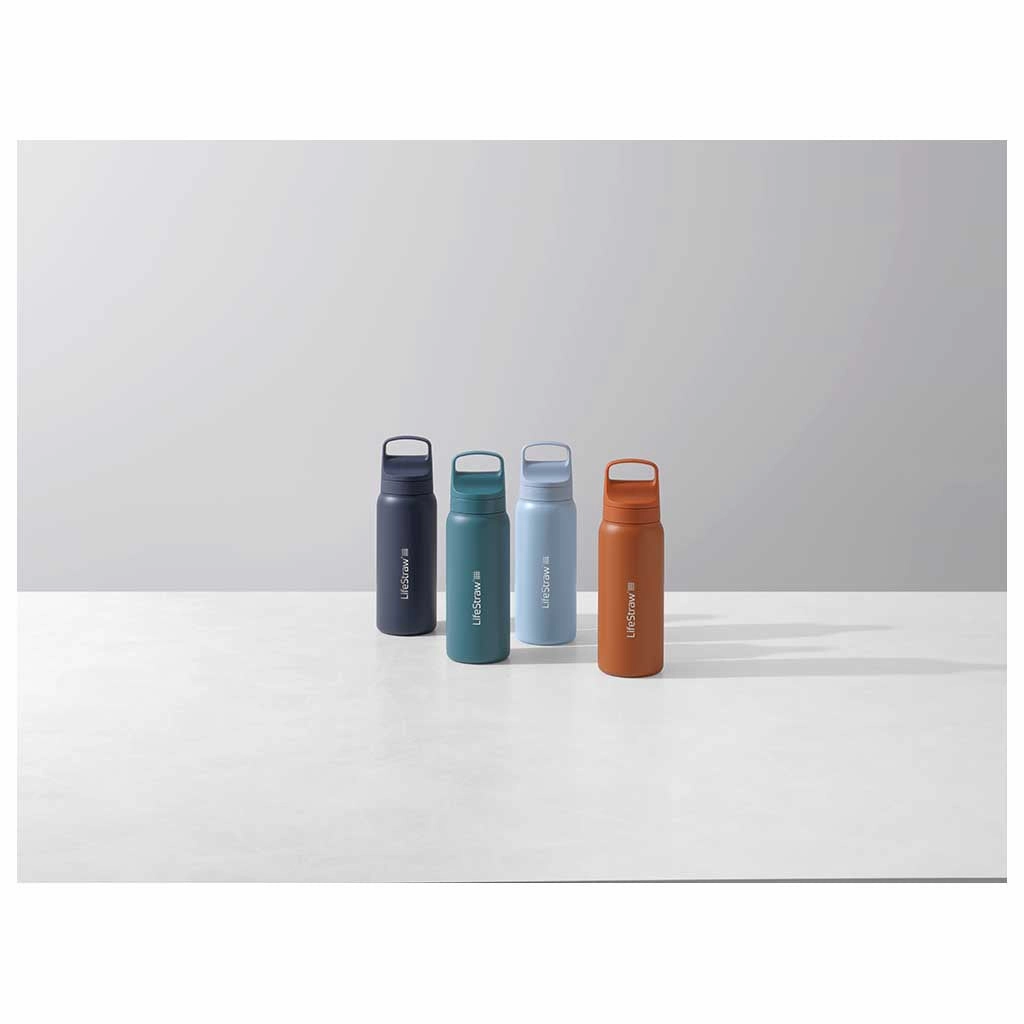 Lifestraw Go 700ml | Stainless Steel