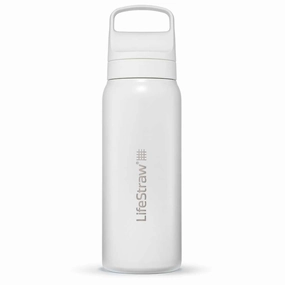 Lifestraw Go 700ml | Stainless Steel