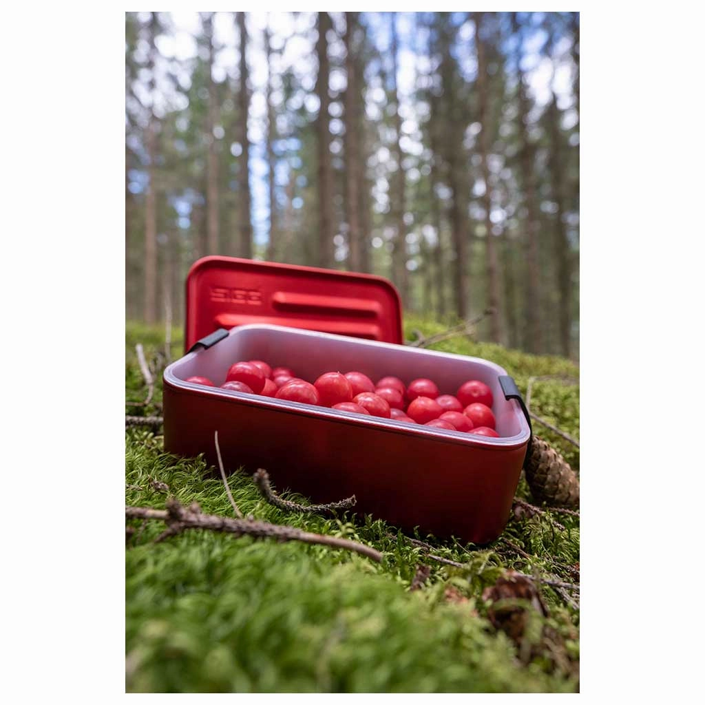 Lunchbox Plus