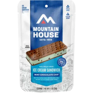 Mint Chocolate Chip Ice Cream Sandwich