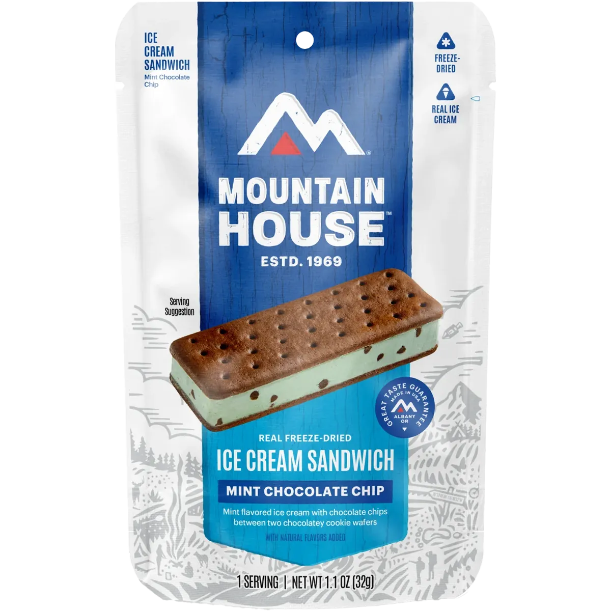 Mint Chocolate Chip Ice Cream Sandwich