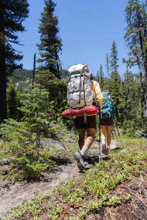 MSR | Hubba Hubba LT 2-Person Backpacking Tent