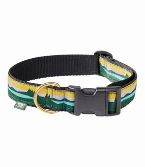 Novelty Dog Collar Medium