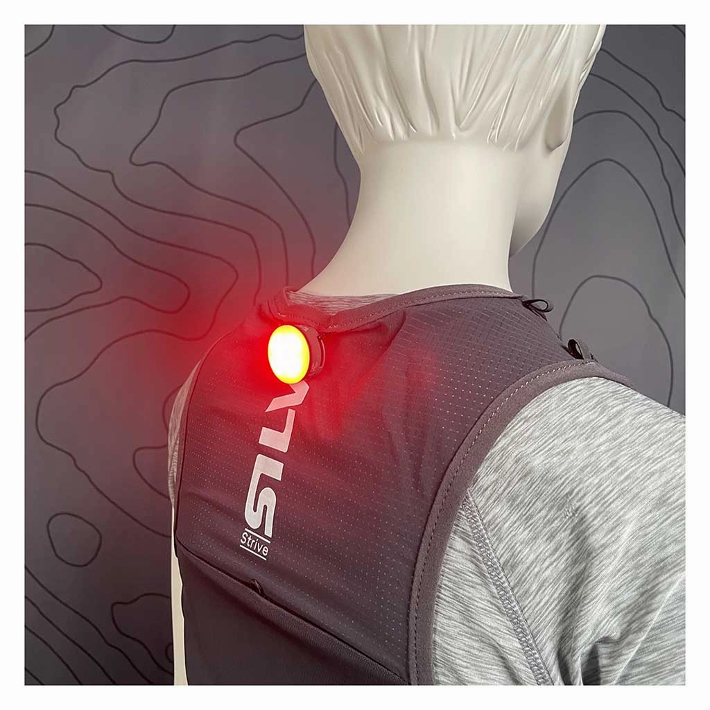 Smini