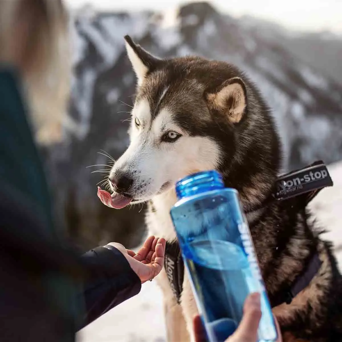  TrailBottle Tritan