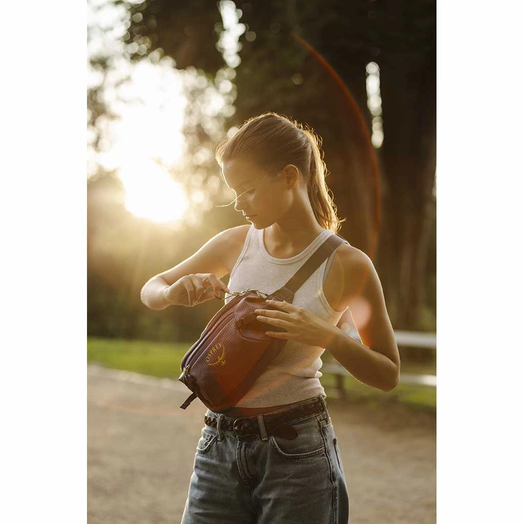 Transporter Waist Pack