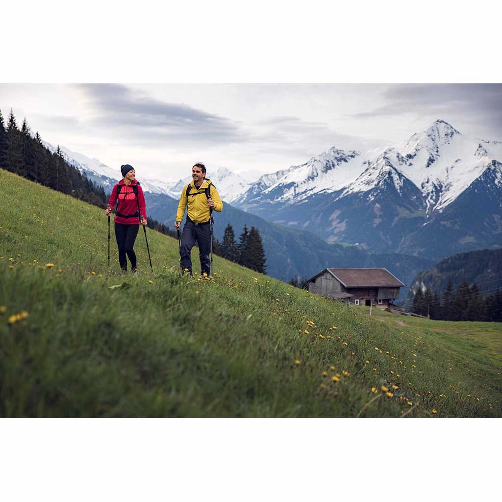 Trekking Poles | Carbon