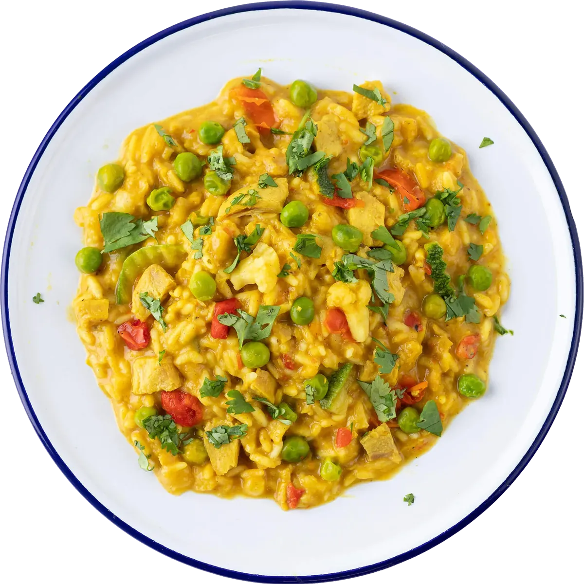 Yellow Curry with Chicken Rice (2 Servings)