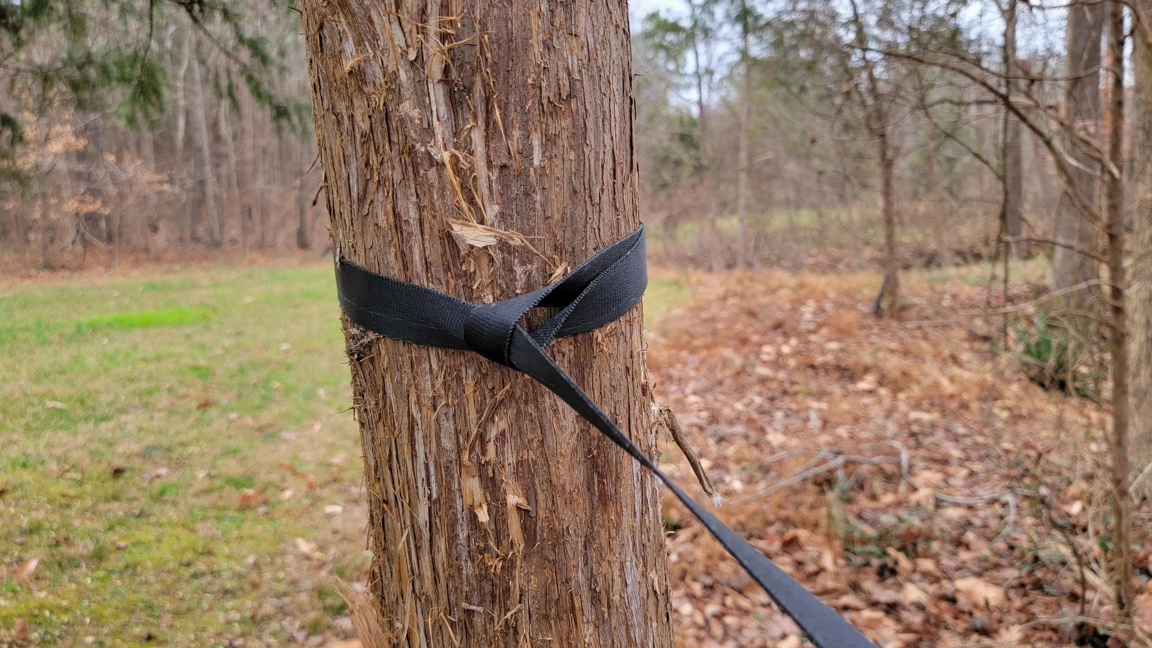 Yukon Outfitters | Freedom Hammock